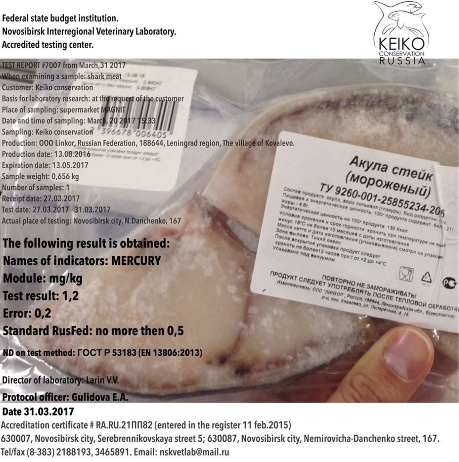 Let's Take Shark Sushi Off The Menu In Russia: Take A Closer Look